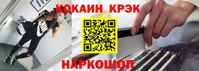 шишки Дубна
