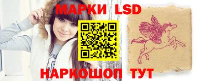 дмт Донской