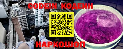 шишки Дубна