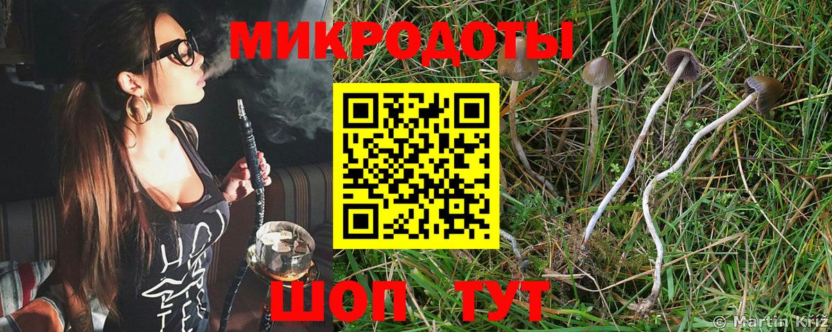 Псилоцибиновые грибы Cubensis Арзамас